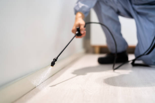 Licensed Termite Control service in Weed, CA - Nex Pest Control