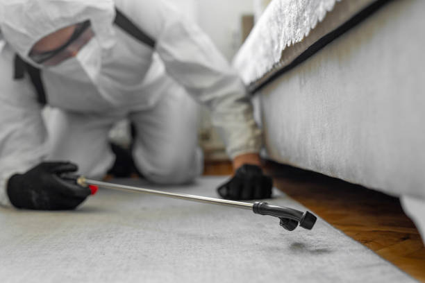 Professional Termite Control technician working in Weed, CA