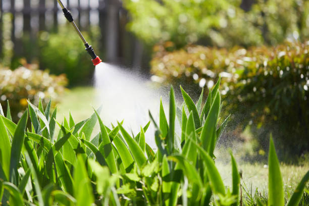 24/7 Emergency Termite Control experts in Weed, CA