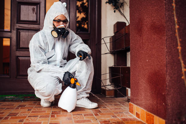 Reliable Termite Control contractor in Weed, CA by Nex Pest Control