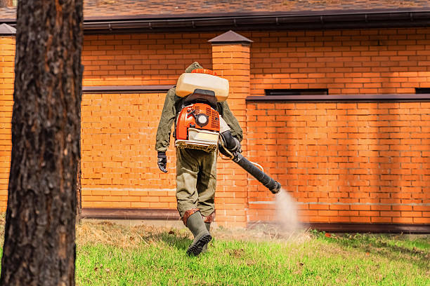 Top rated local Termite Control specialists in Weed, CA